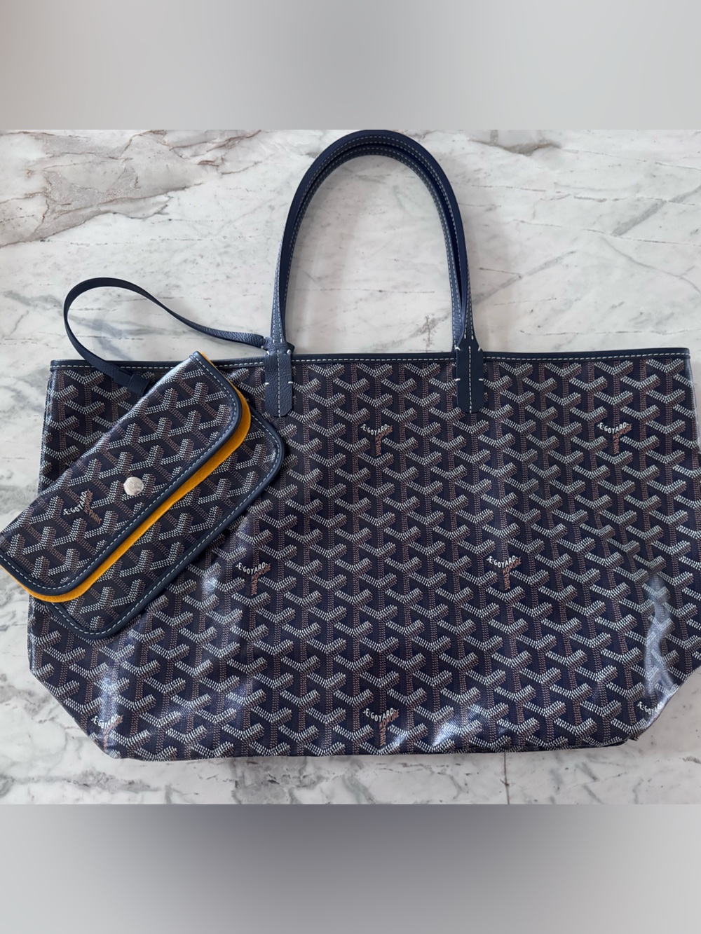 AUTHENTIC Goyard St. Louis PM Tote